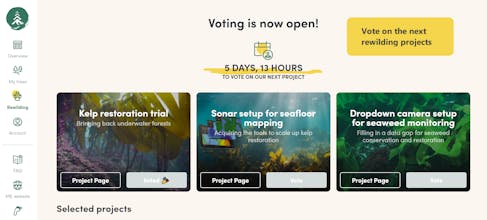 Mossy Earth gallery image