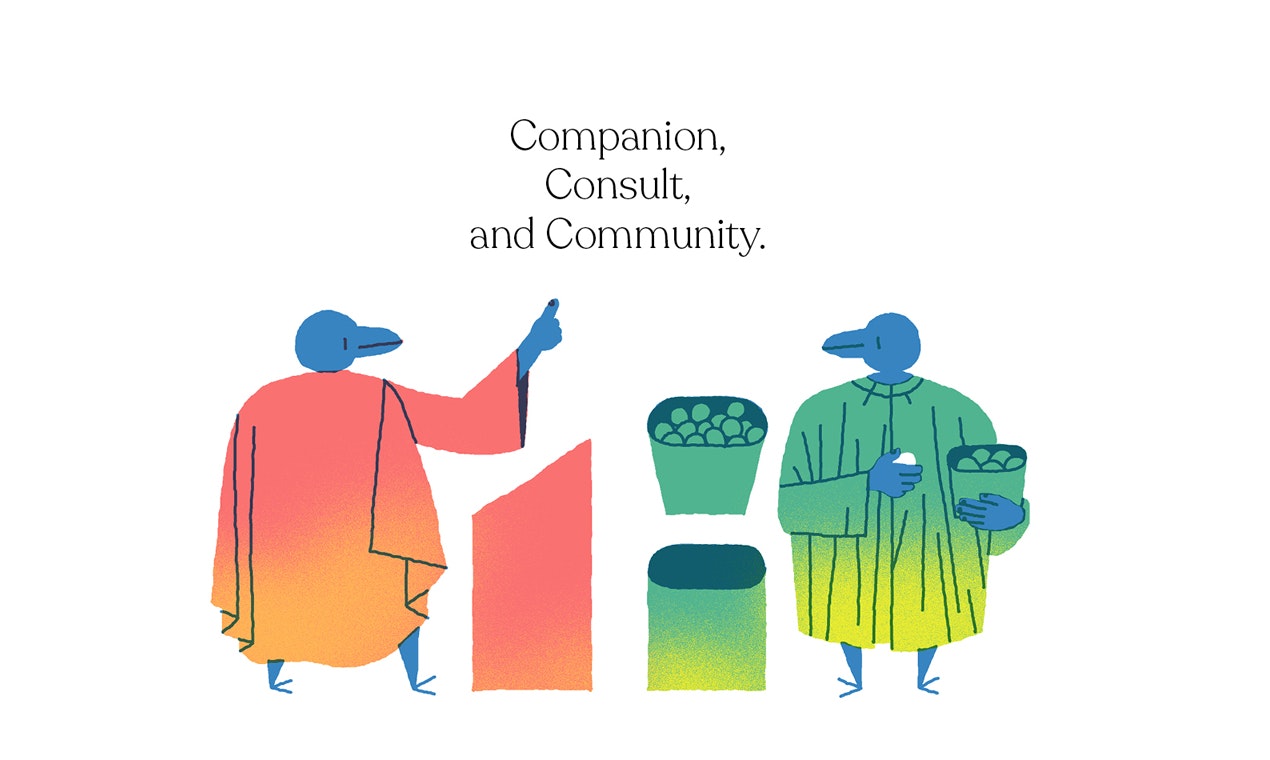 Corvid gallery image