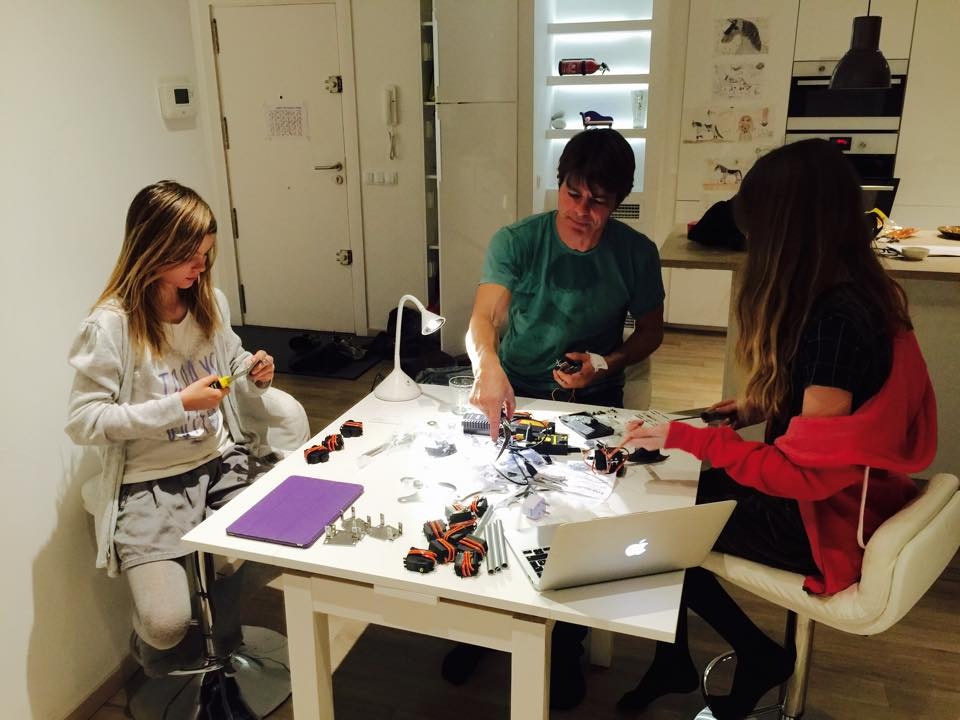 Erle-Spider gallery image