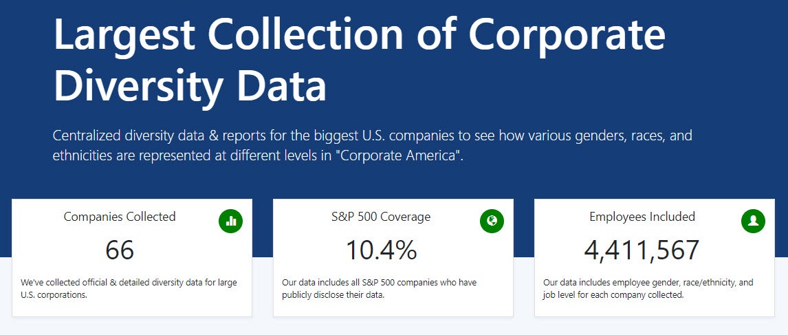 Corporate Diversity Data gallery image