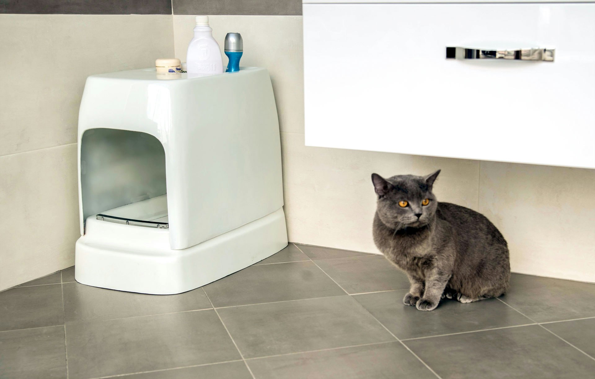 Catolet gallery image