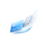 SoaringPay