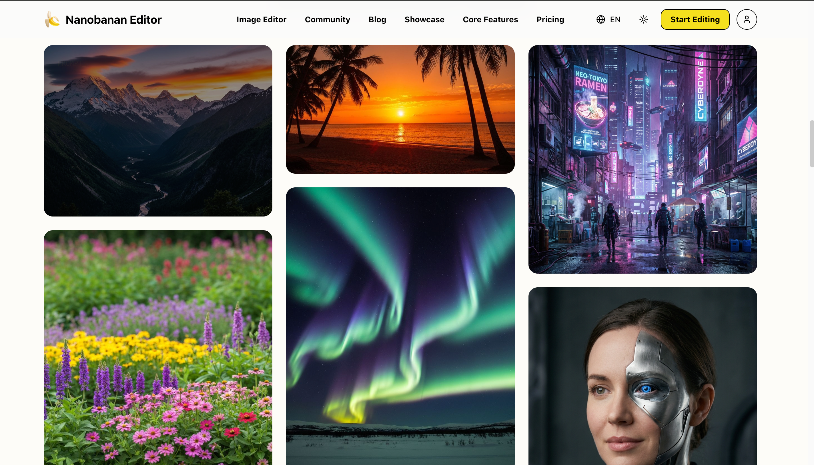 Nanobanan Editor gallery image