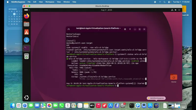 Velo Workspaces screenshot 1 (video preview)