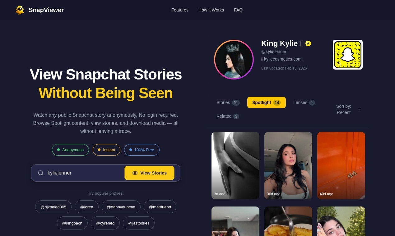 Snapchat Story Viewer - Main product screenshot demonstrating key features and user interface
