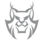 AccuLynx