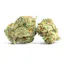 white gummies strain