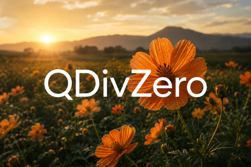 QDivZero screenshot 2