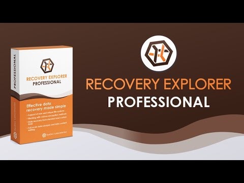 Recovery Explorer Professional gallery image
