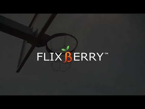 Flixberry Scoring System D1 gallery image