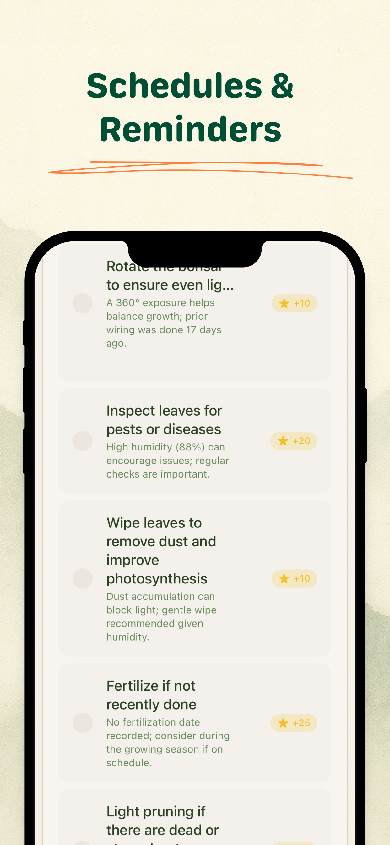 Bonsai Buddy gallery image