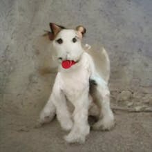 Ganbreeder gallery image