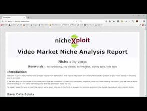 NicheXploit gallery image