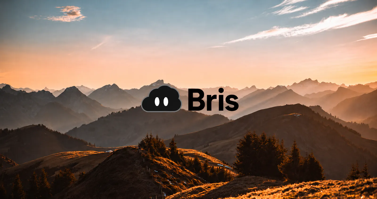 Bris screenshot 1