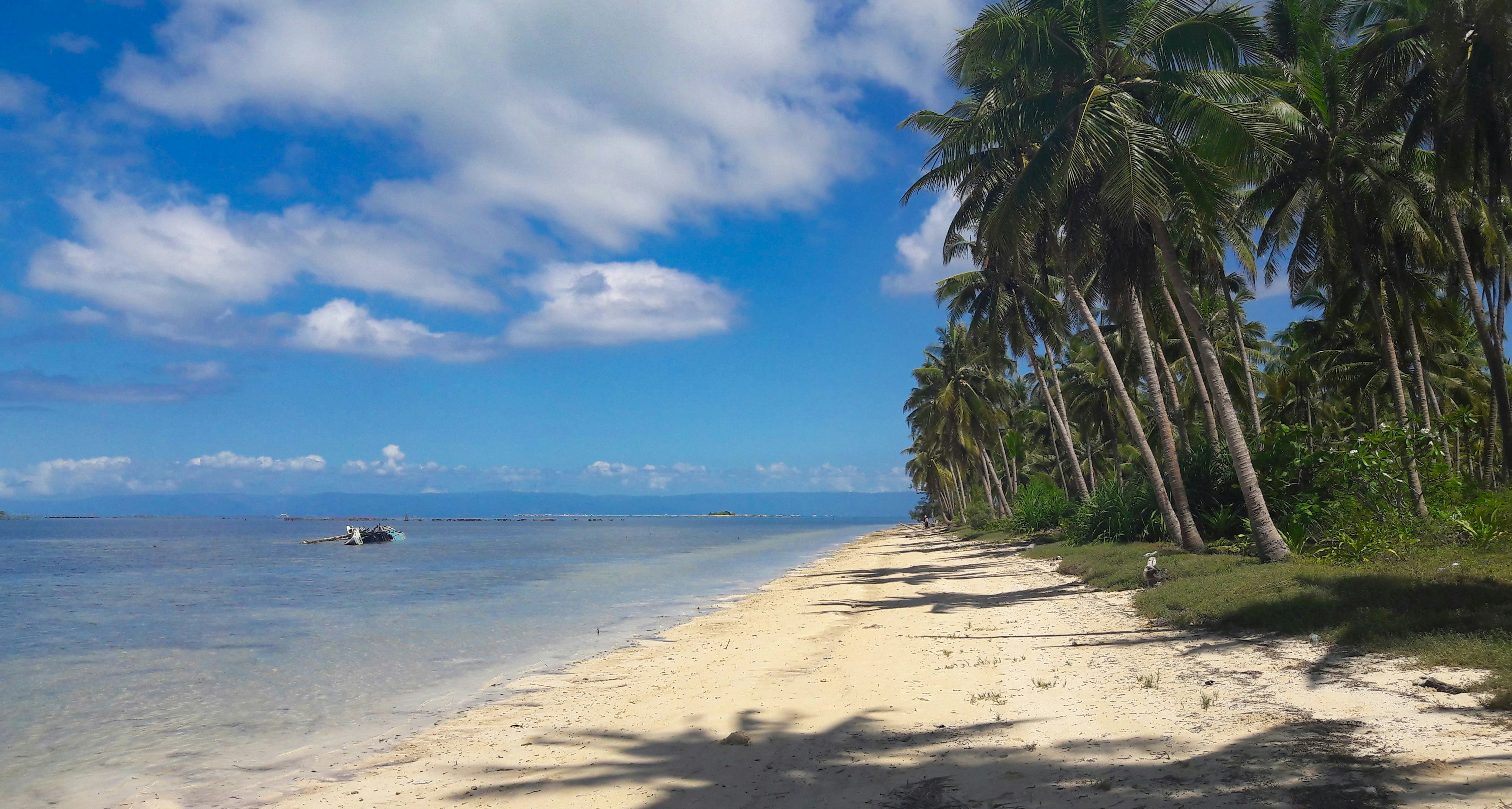 Calendoo Flights gallery image