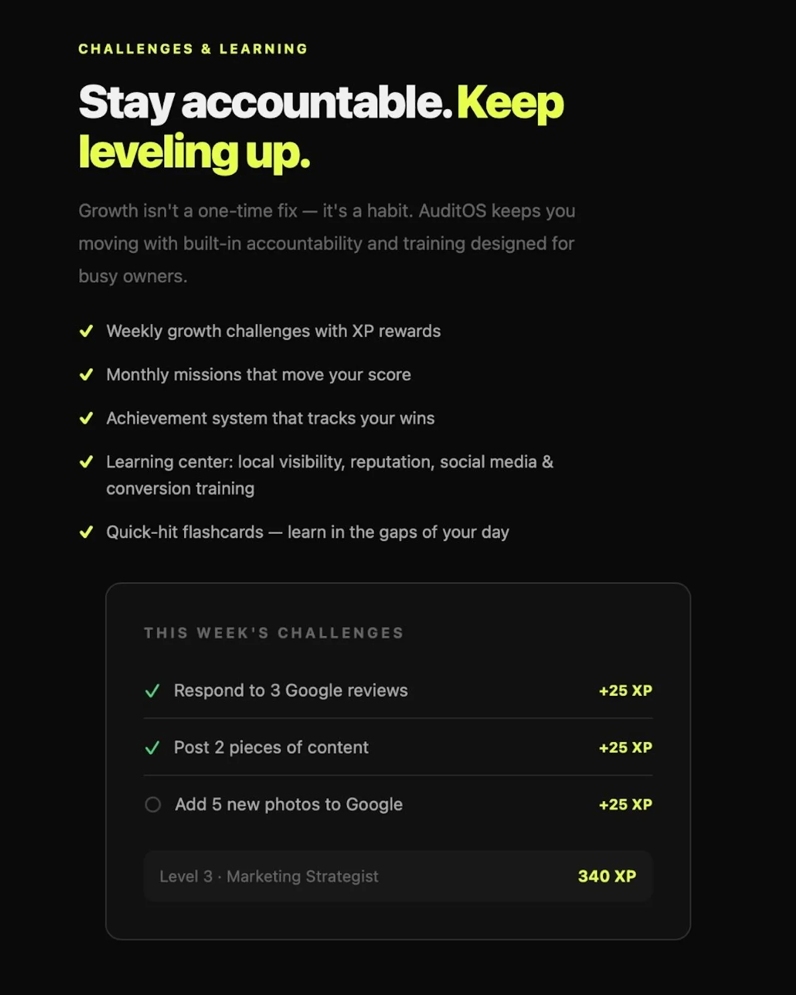AuditOS screenshot 5