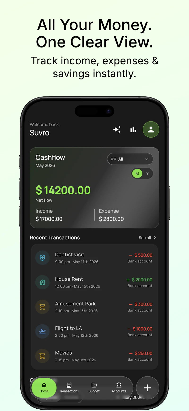 BudgetLens screenshot 1