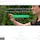 Mapillary