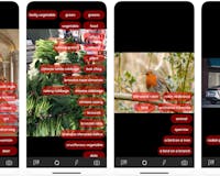 Chooch IC2 Demo Visual AI App for iPhone media 2