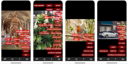 Chooch IC2 Demo Visual AI App for iPhone gallery image