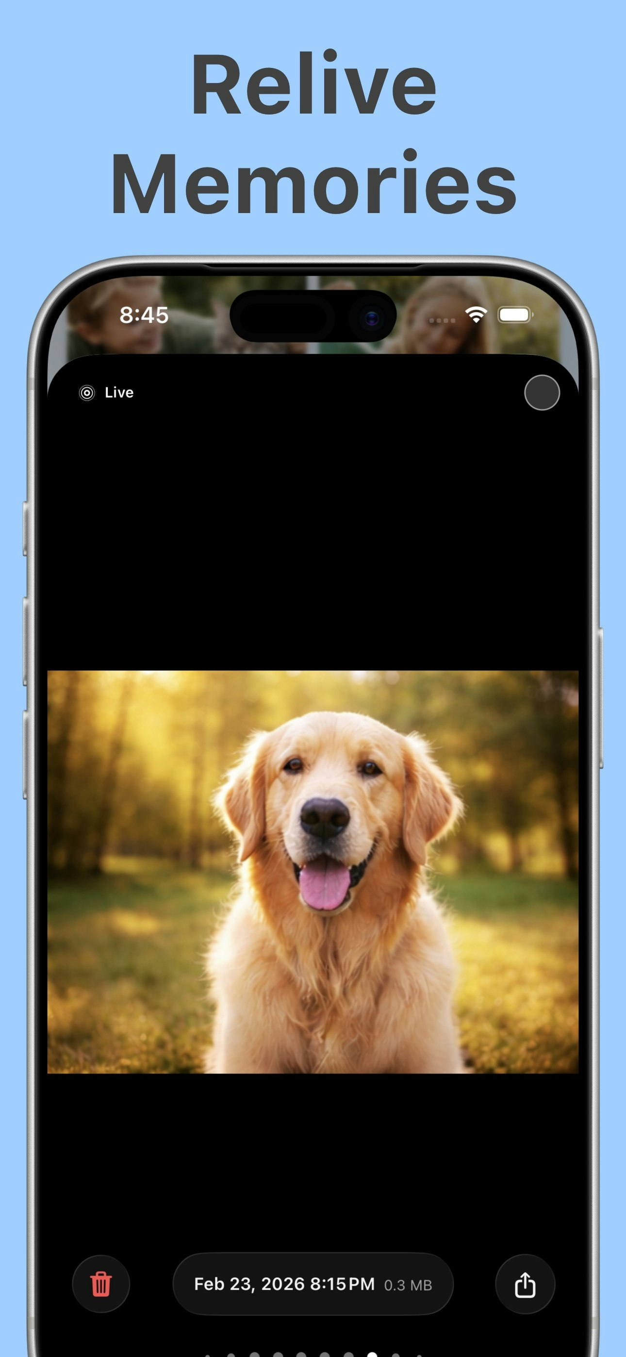 This Day gallery image