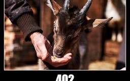HTTP Status Goats API media 3