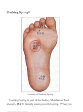 What the ancient knew gallery image