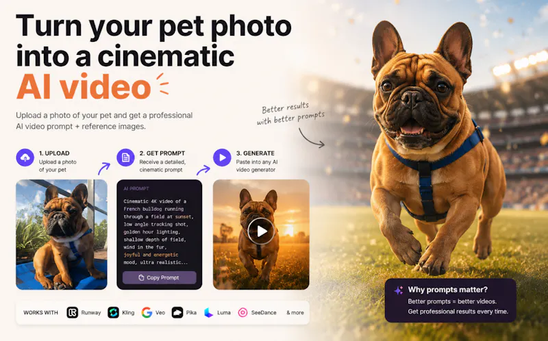 Talking Pet Video Prompt Generator screenshot 1