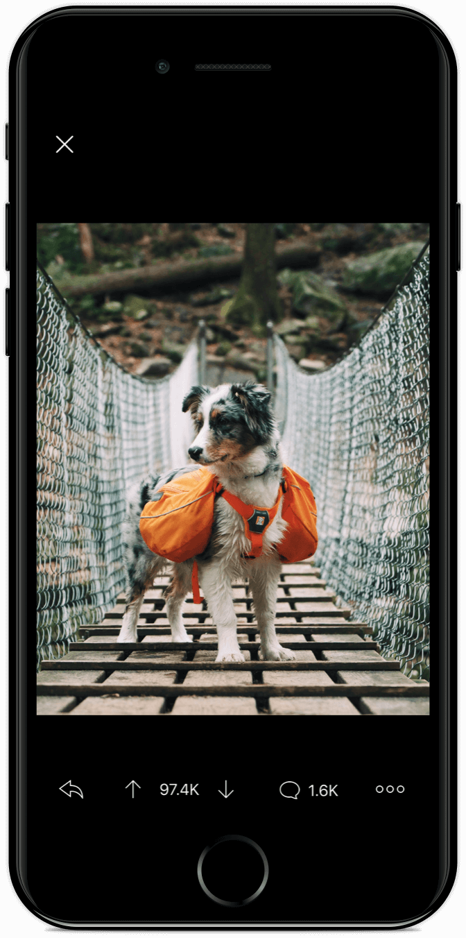 Apollo Reddit Client gallery image