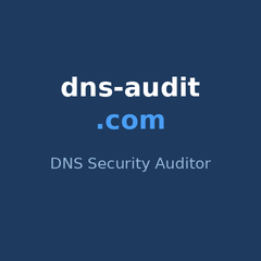 DNS Audit
