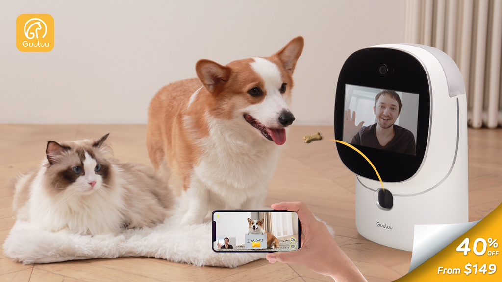 Media Guluu - Xử lý máy ảnh FaceTime thú cưng đi kèm với 24/7 2