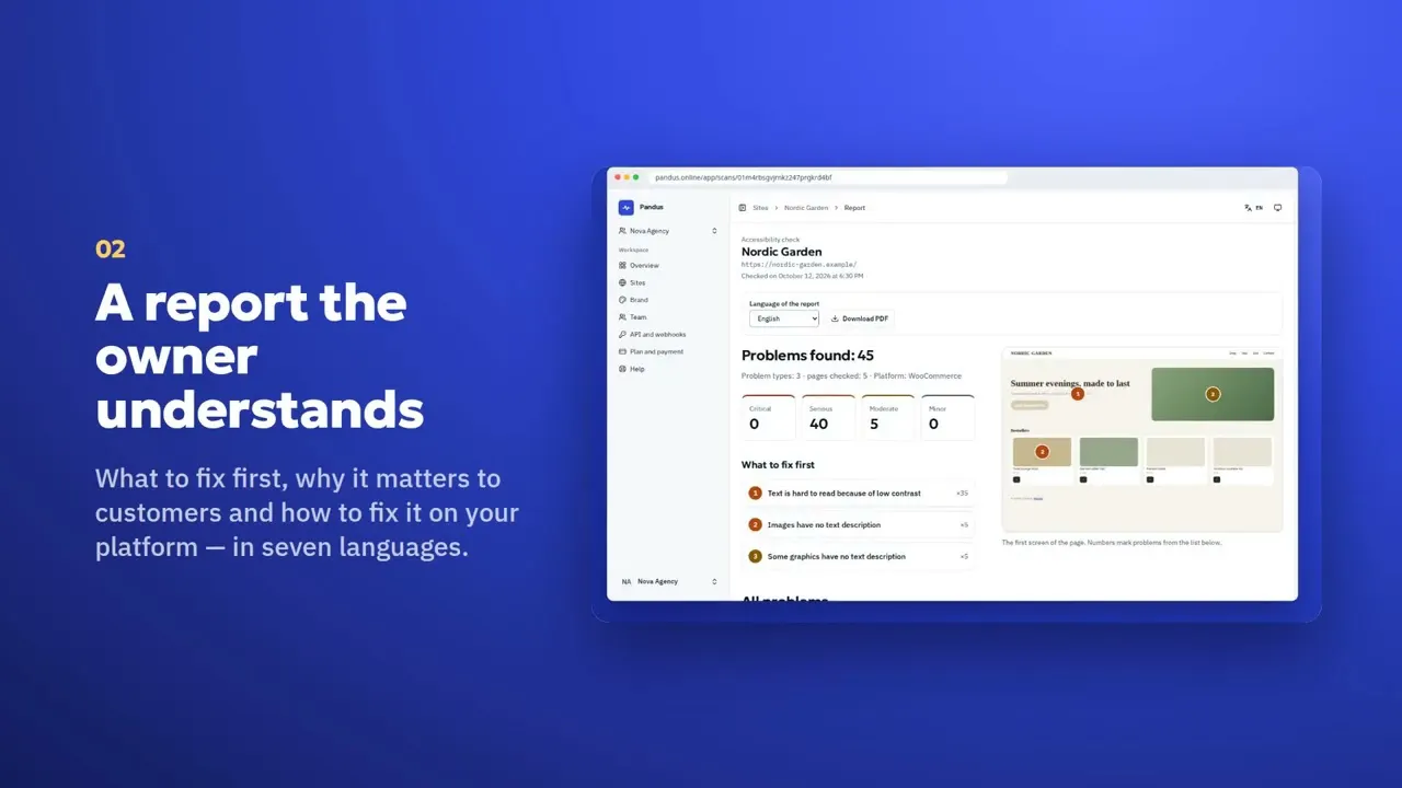 Pandus Accessibility Checker gallery image