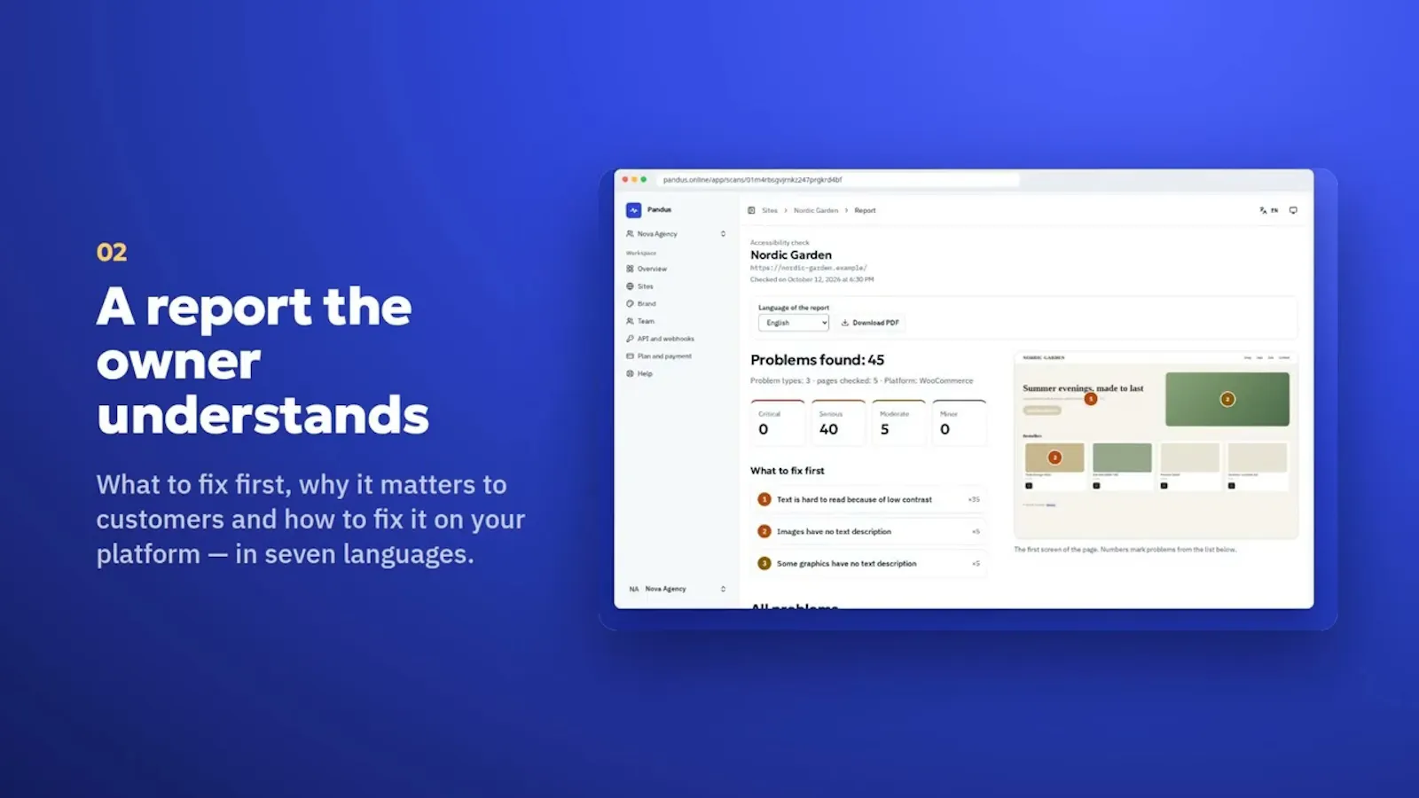 Pandus Accessibility Checker screenshot 1 (video preview)