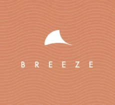 Breeze Surf Forecasting