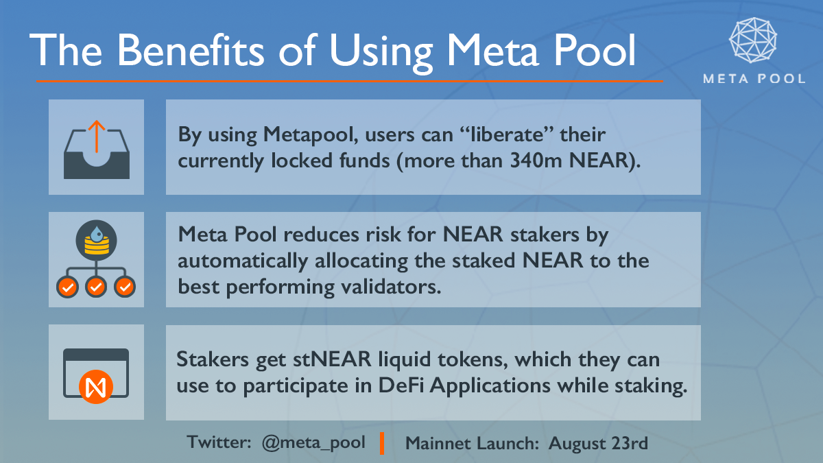 Meta Pool gallery image