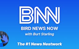 Bird News Now media 1