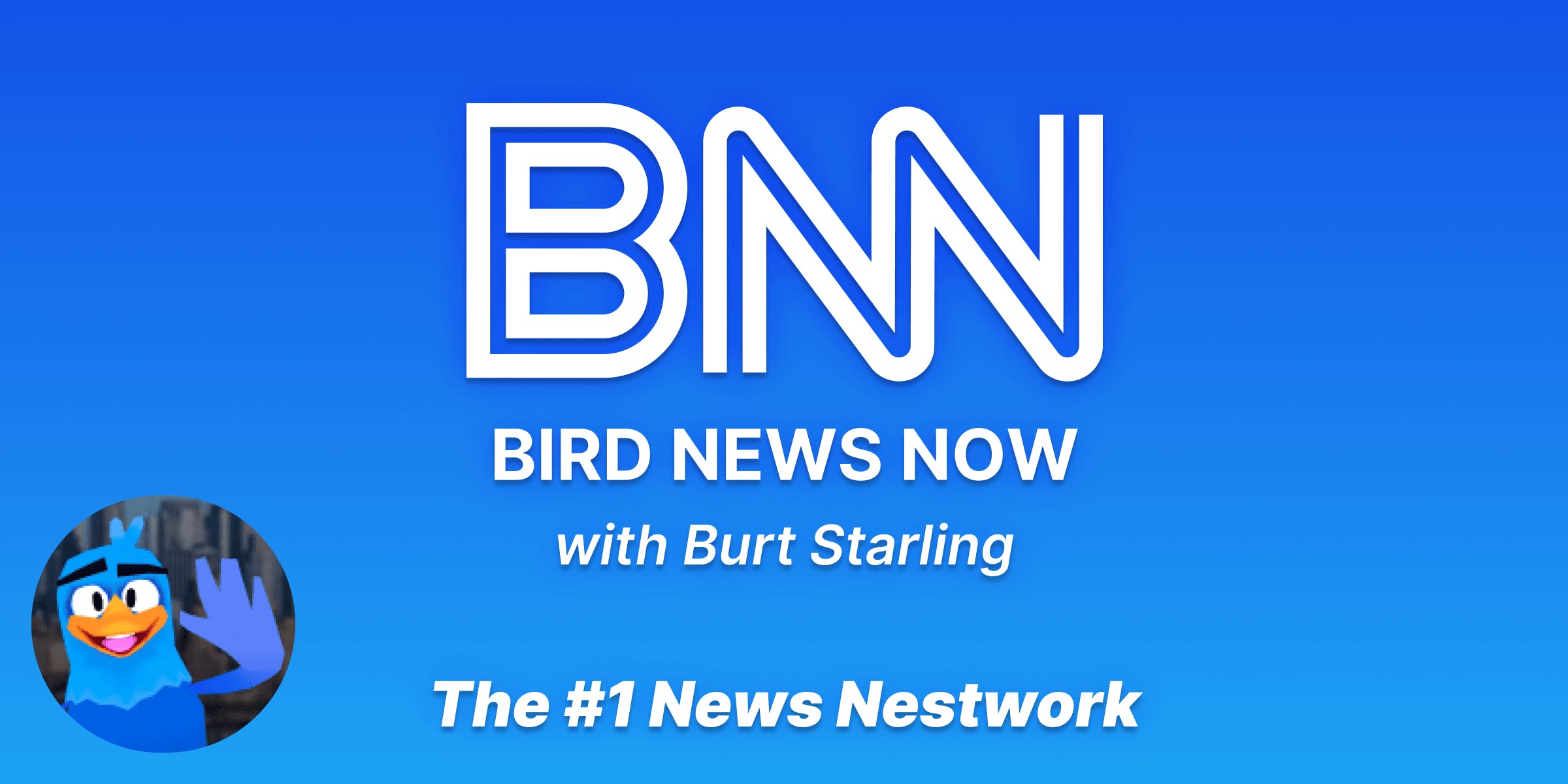 Bird News Now media 1