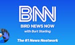 Bird News Now image