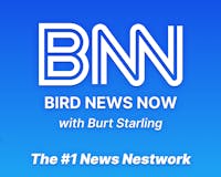 Bird News Now image