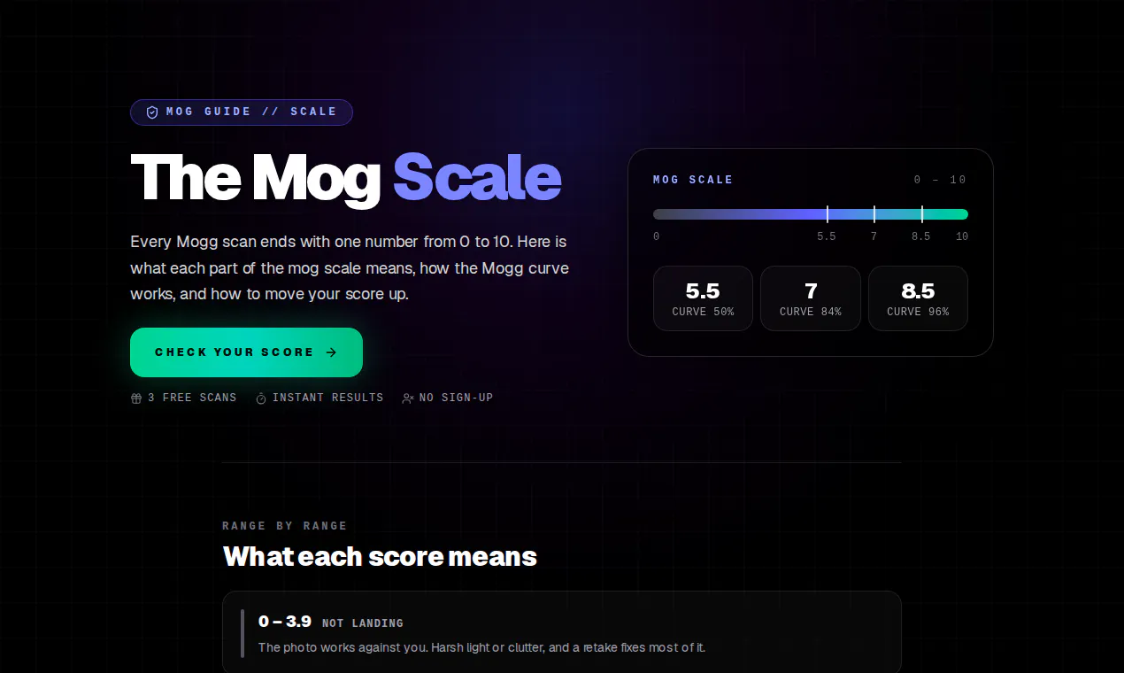 Mogg.ai gallery image