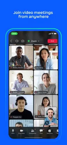 Zoom Webinars gallery image