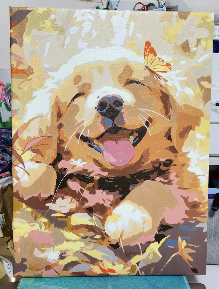 Pet Dog Custom paint by numbers