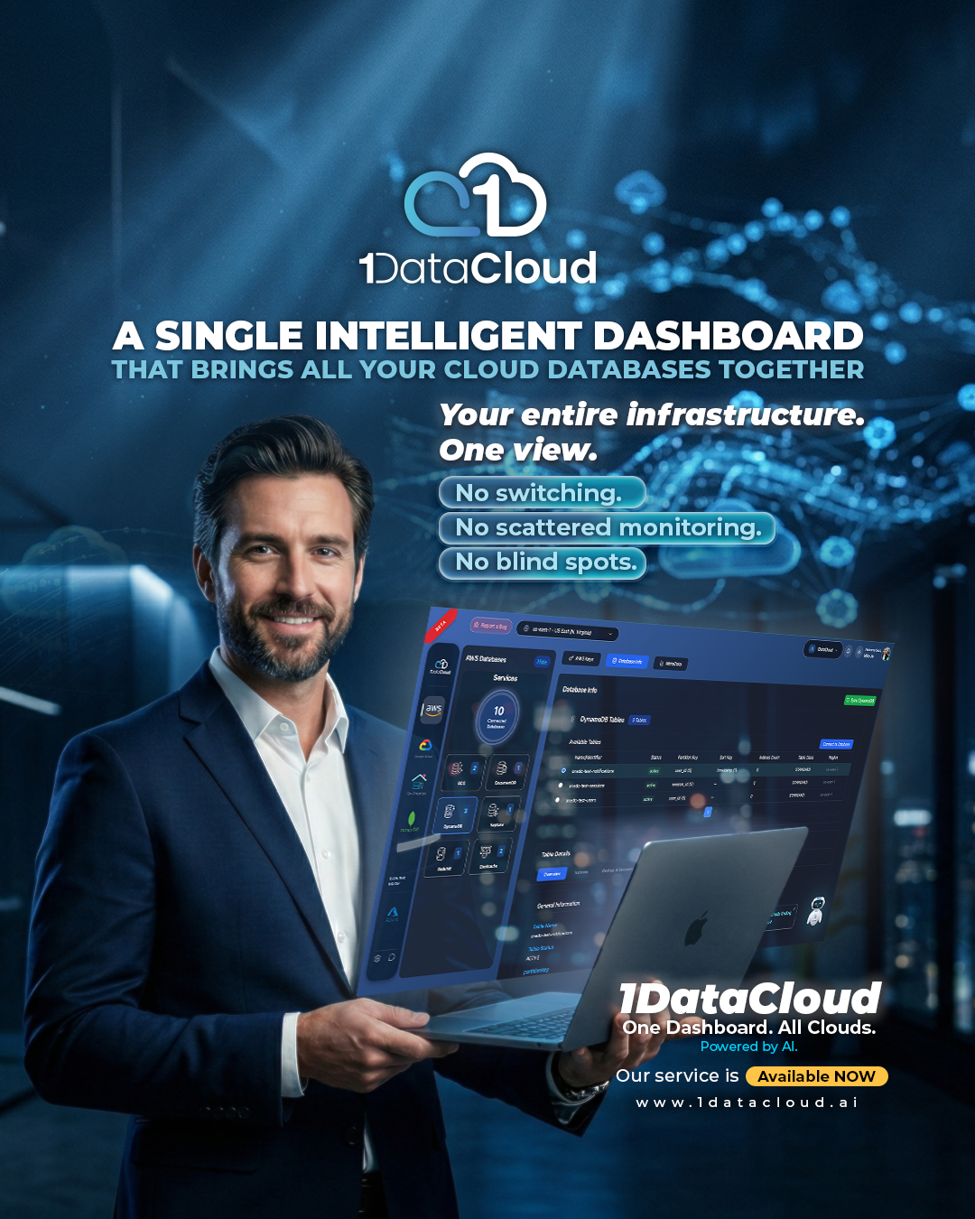 1DataCloud.Ai gallery image