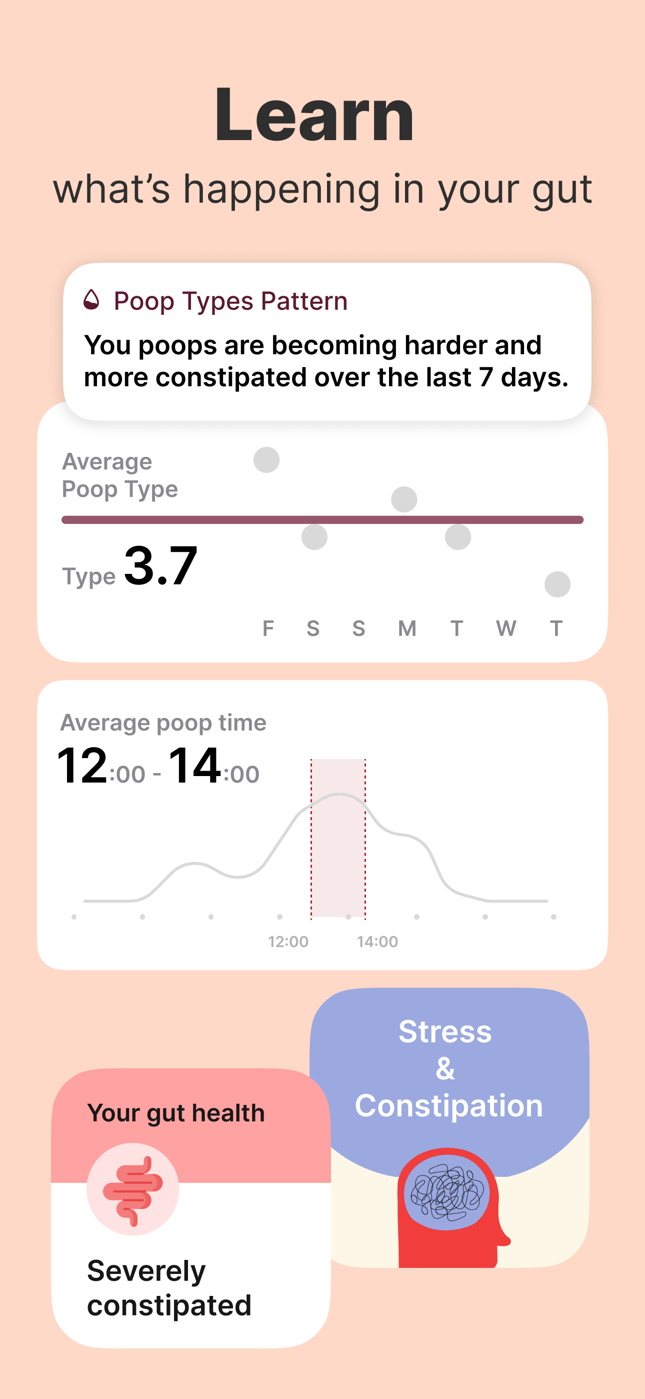 Balloon gallery image