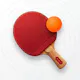SotoPong — Your own table tennis league