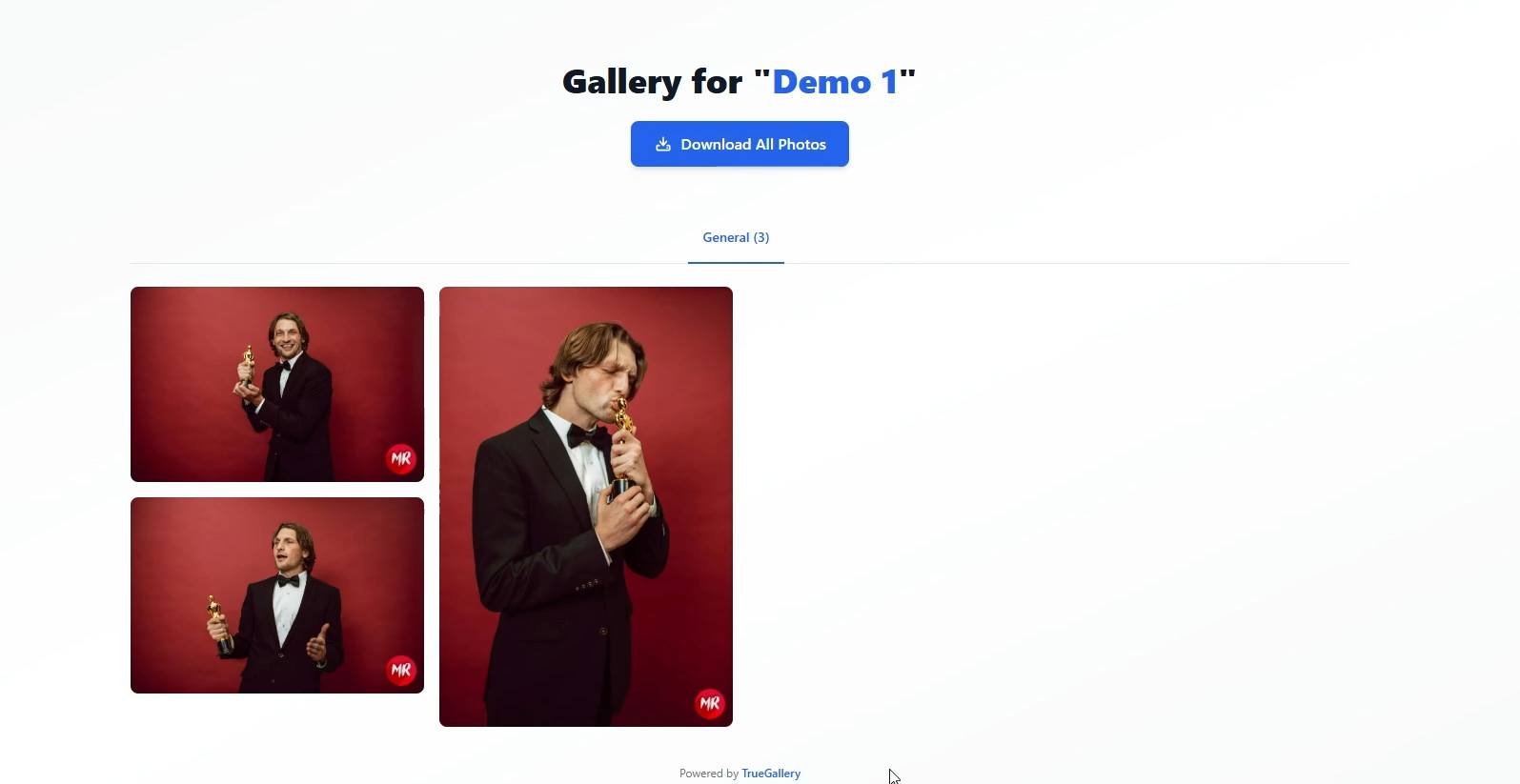 TrueGallery media 4
