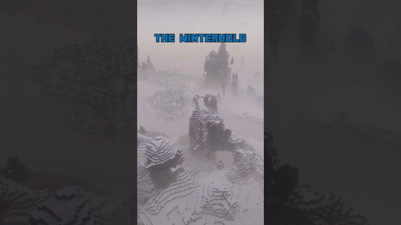 TopBiomeSeeds screenshot 1 (video preview)