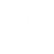 FIVESHIELD gallery image