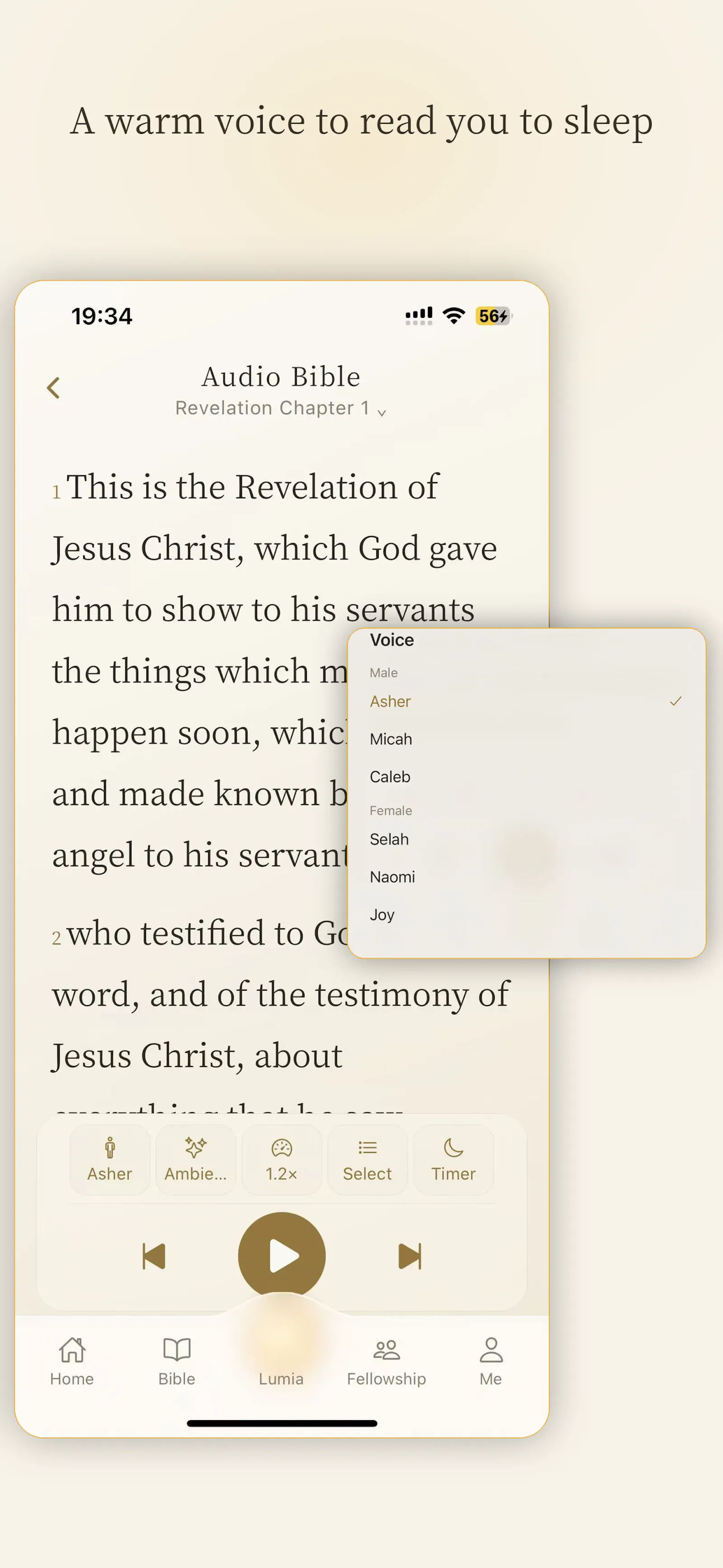 Luminous: Bible & Devotional screenshot 9