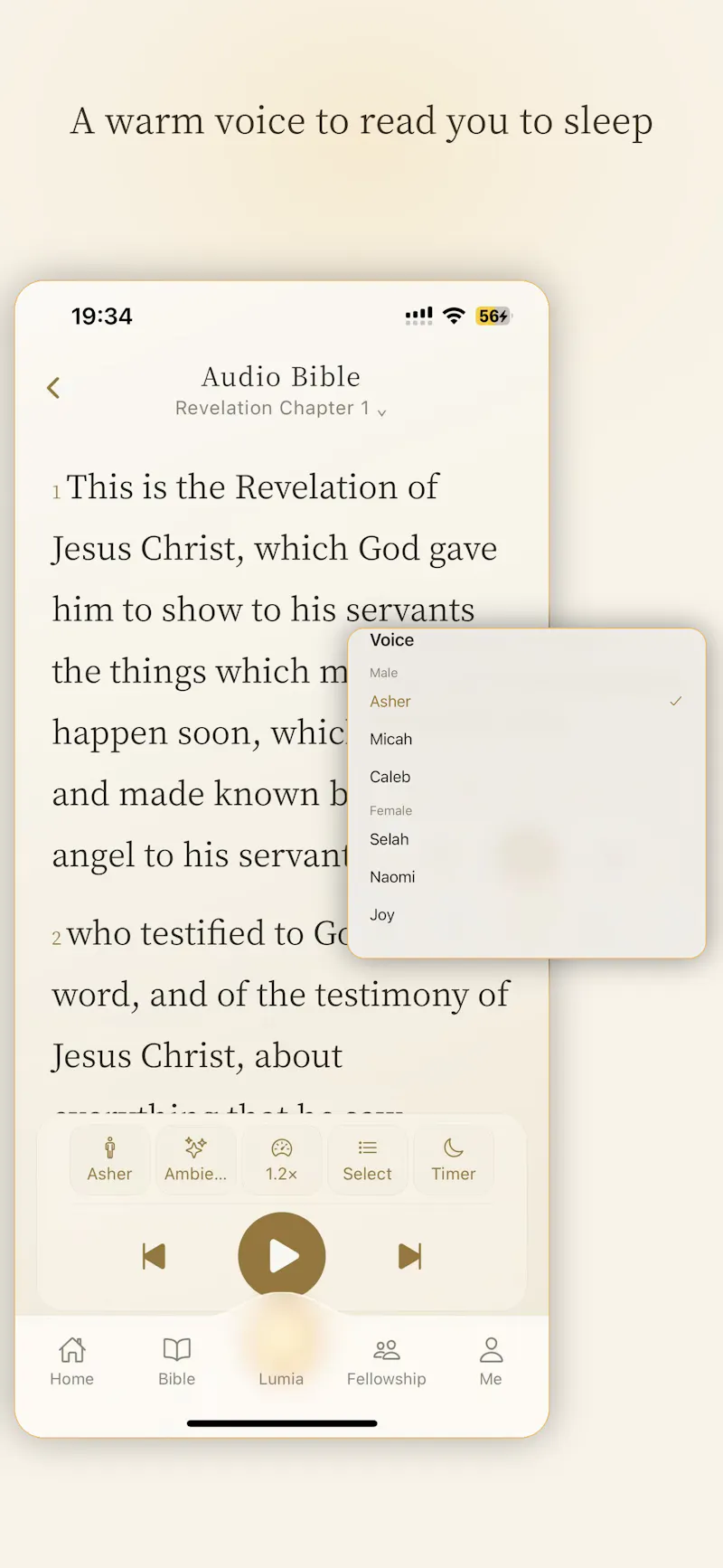 Luminous: Bible & Devotional screenshot 9